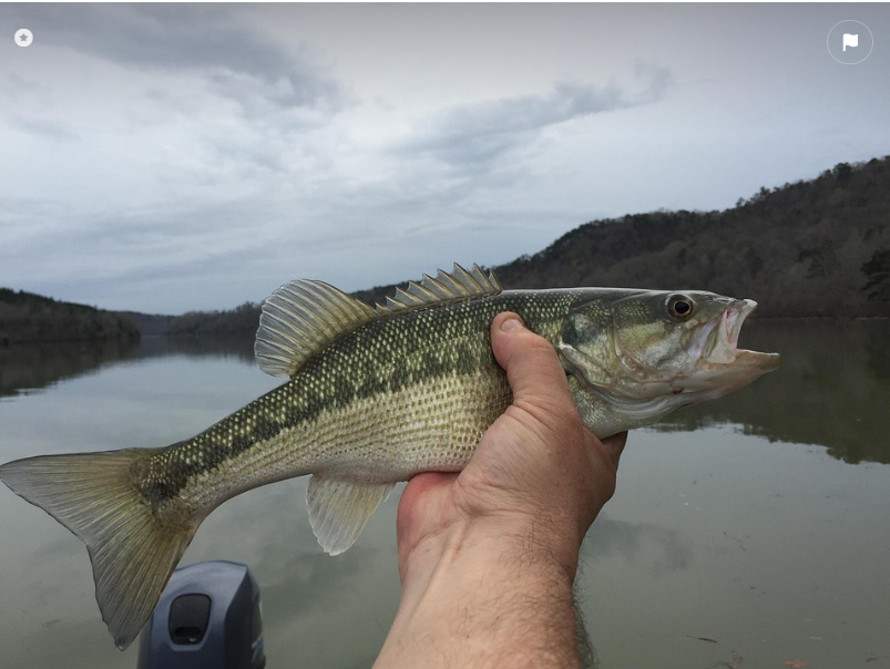 Signup for fishing blog- Think about Layering for Fishing